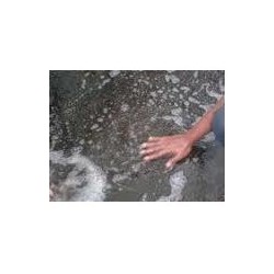 supplier distributor jual oil spill dispersant cleaning chemical jakarta indonesia harga murah 4